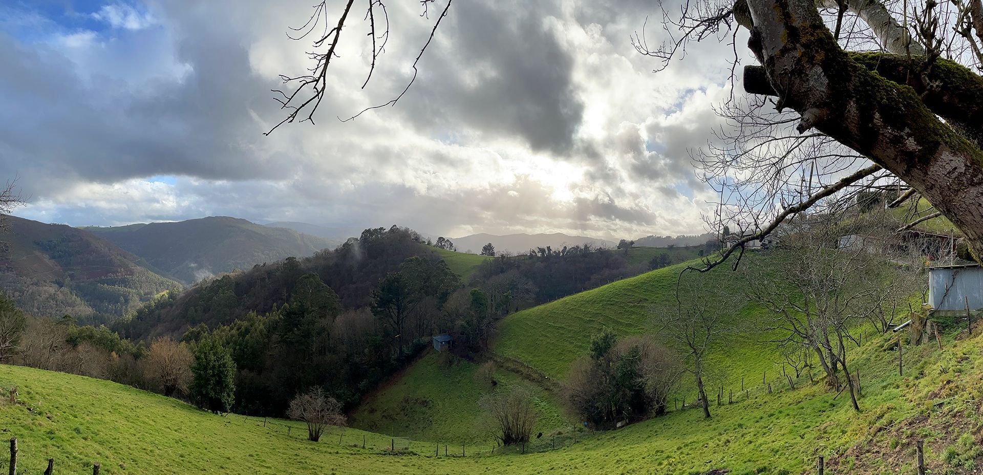 vistas