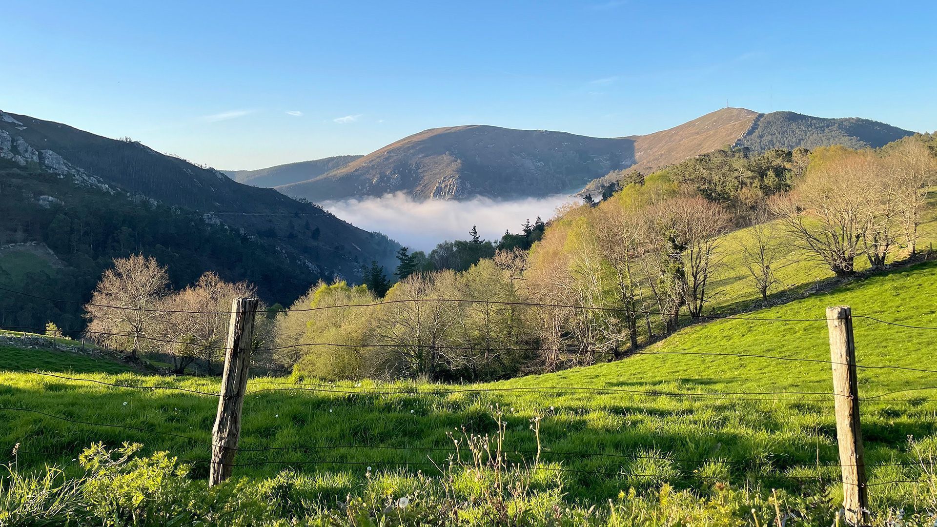 Vistas alrededores