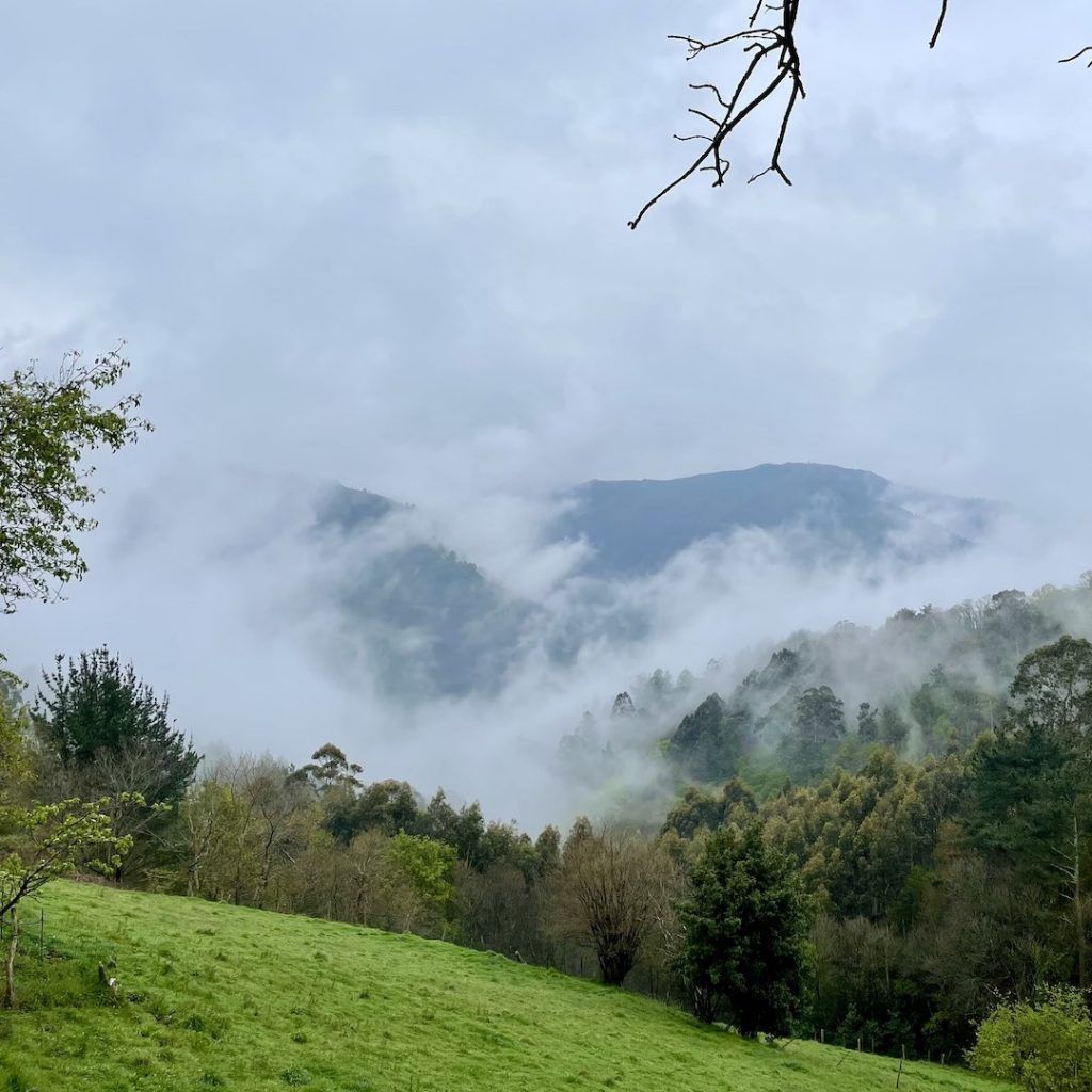 Vistas desde mirador
